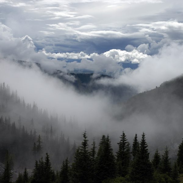 foggy mountainscape with trees and clouds